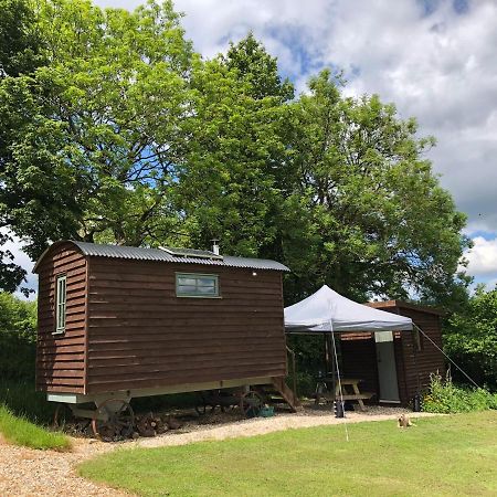 The Shepherds Hut At The Shippen, Tiphayes Honiton Extérieur photo
