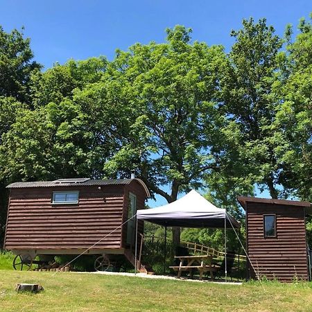 The Shepherds Hut At The Shippen, Tiphayes Honiton Extérieur photo