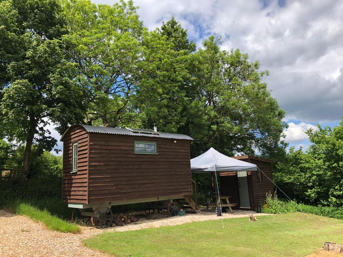 The Shepherds Hut At The Shippen, Tiphayes Honiton Extérieur photo