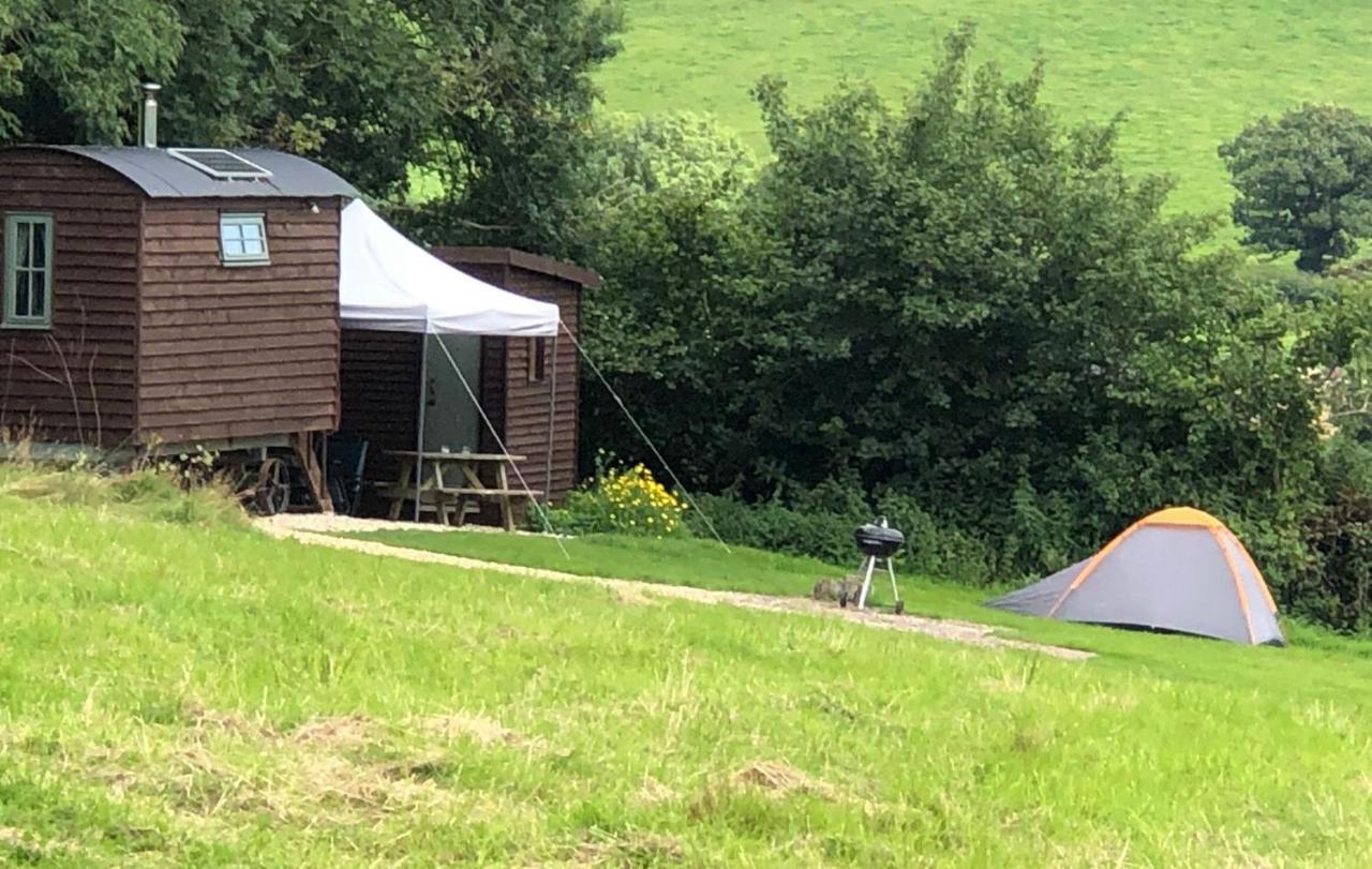 The Shepherds Hut At The Shippen, Tiphayes Honiton Extérieur photo